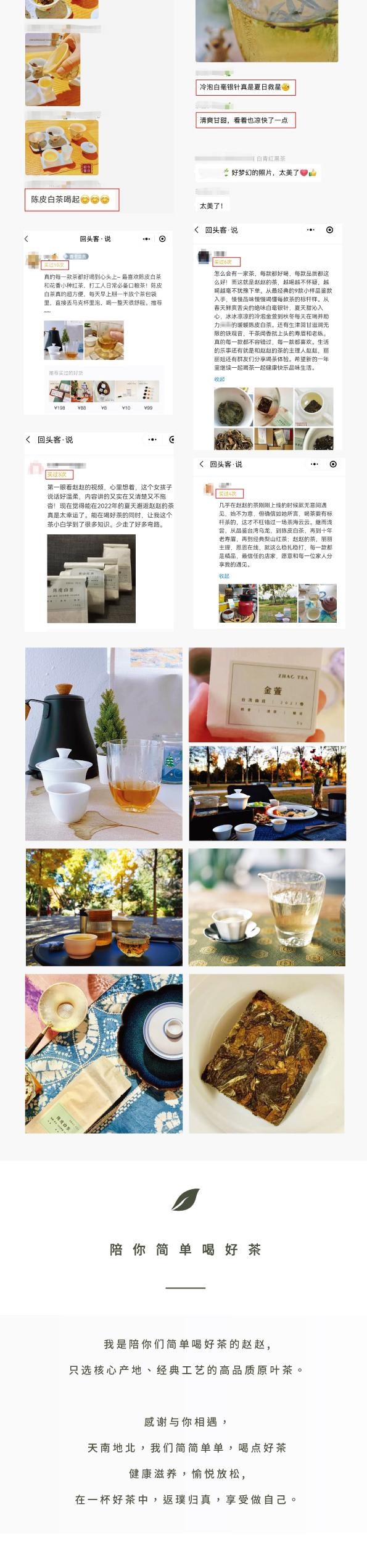 ZhaoTea 夏日好茶特辑 - 菊花白茶 栀子绿茶 茉莉花茶 台湾乌龙金萱 花香白牡丹- 一次品尝5款夏日好茶 - 茶饮 茶叶