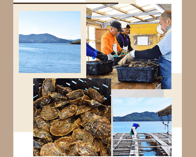 REENS PEARL||18k白金Akoya珍珠雙層手鍊||1條