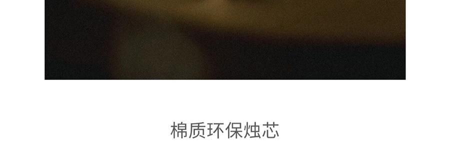 RE CLASSIFIED RE調香室 香氛蠟燭 清新淡香室內蠟燭香氛 梵蒂岡教宗圖書館 35g