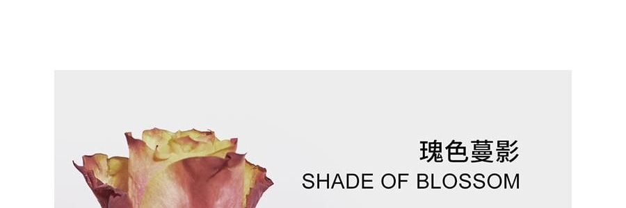 RE CLASSIFIED RE調香室 香氛蠟燭 清新淡香室內蠟燭香氛 梵蒂岡教宗圖書館 35g