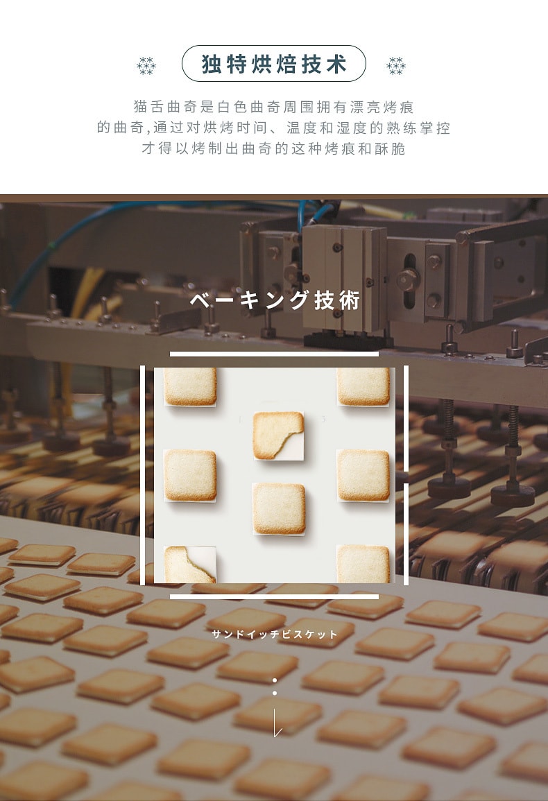 【日本直邮】北海道名产 石屋制菓 白色恋人 白巧克力饼干 9枚入