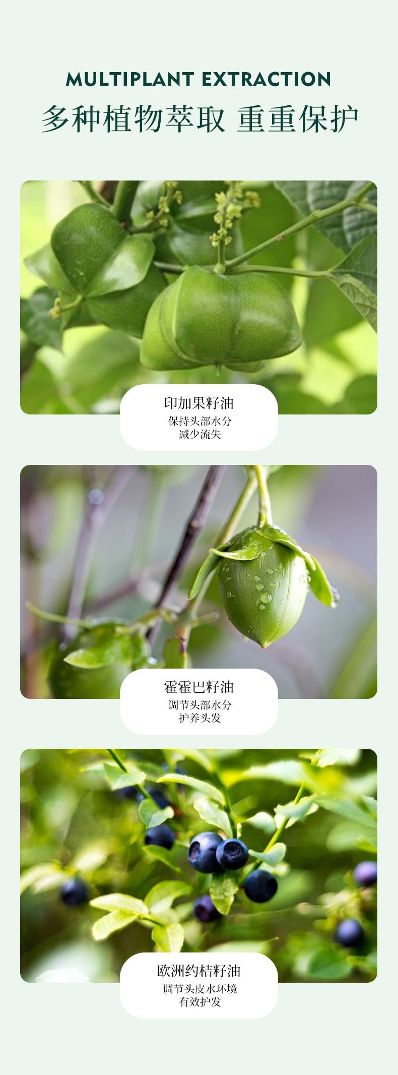 Sipimo诗碧曼 润发乳护发蓬松改善打结缠结防止静电有光泽 轻盈蓬松 植物角蛋白柔顺打结 氨基酸锁水保湿 干枯发急救 纯素零添加 260ml