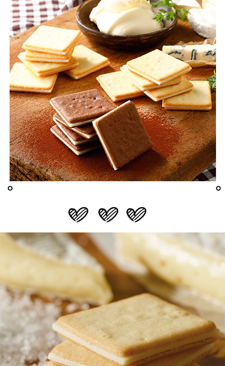 日本TOKYO MILK CHEESE FACTORY  东京牛奶芝士工厂 巧克力马斯卡彭干酪饼干 10枚装