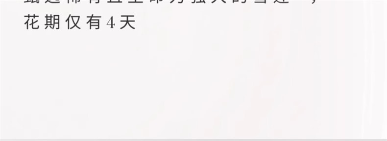 【日本直邮】 SK-II SK2 小灯泡 肌因光蕴环采钻白精华露  50ml