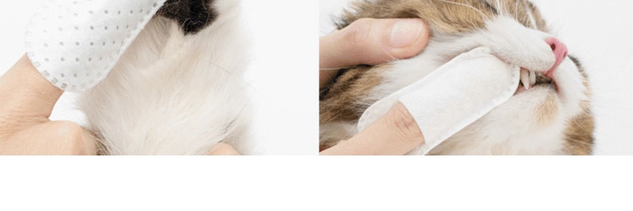 PIDAN 貓咪狗狗全身清潔手套濕紙巾 去浮毛除異味 6片裝 無水乾洗 冬季寵物洗澡神器