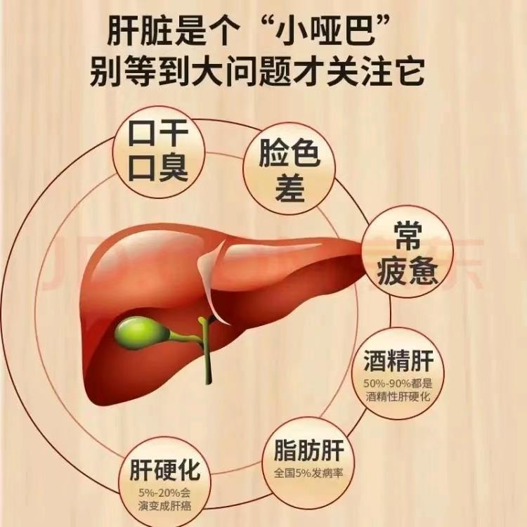 【中国直邮】 北京同仁堂 熊胆粉0.1g/瓶*7瓶/盒 保肝护肝 金胆粉 熬夜喝酒人群保障肝脏安全