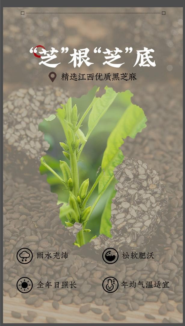 Black sesame pill 500g