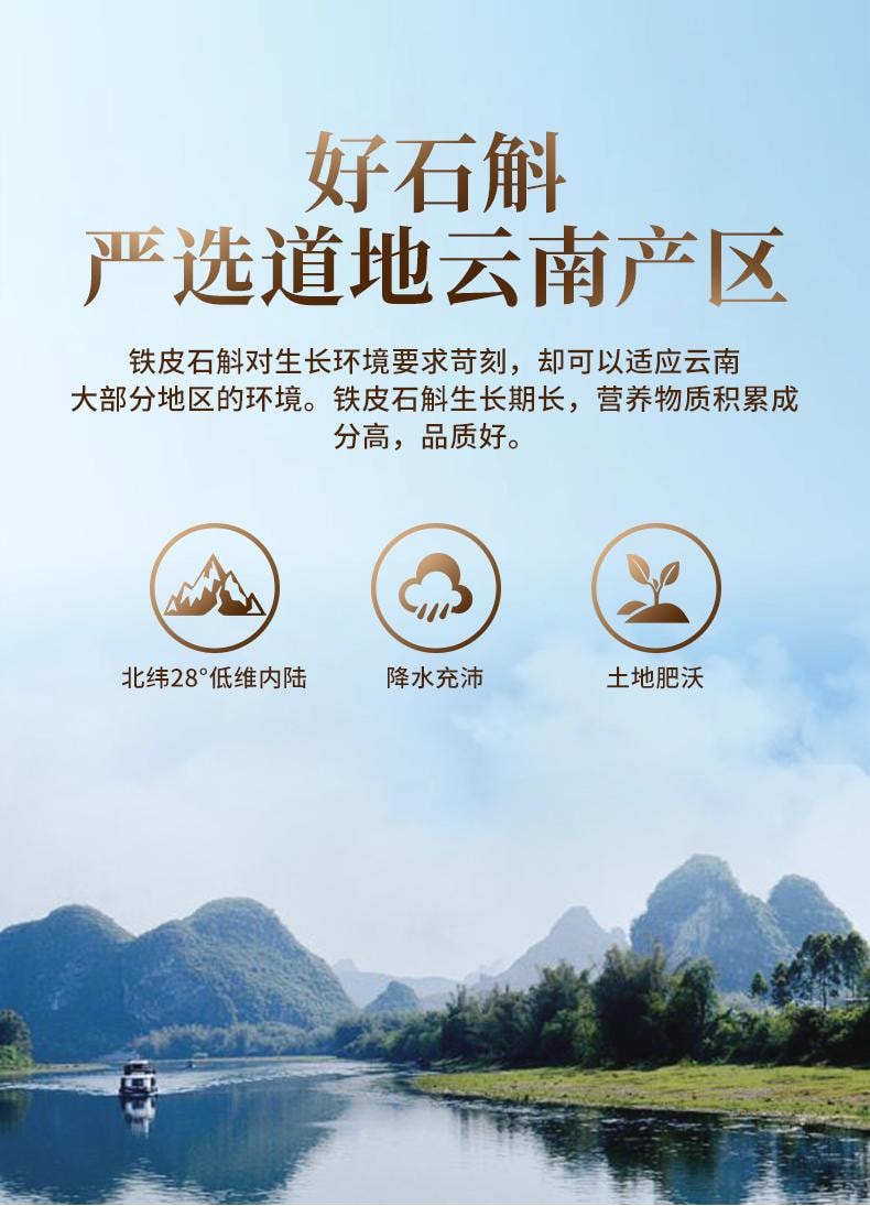 【中国直邮】  北京同仁堂 内廷上用铁皮石斛21g  生津养胃 滋阴清热