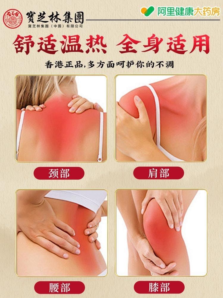 【中國直郵】 寶芝林 透骨膏 祛風除濕 舒筋通絡 消腫止痛 活血養血 舒適溫熱 全身適用 30g/盒