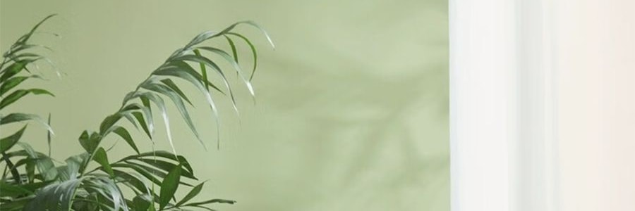 爾木樹 洗臉 懸掛抽取式 加大加厚一次性壁掛擦臉巾 180抽
