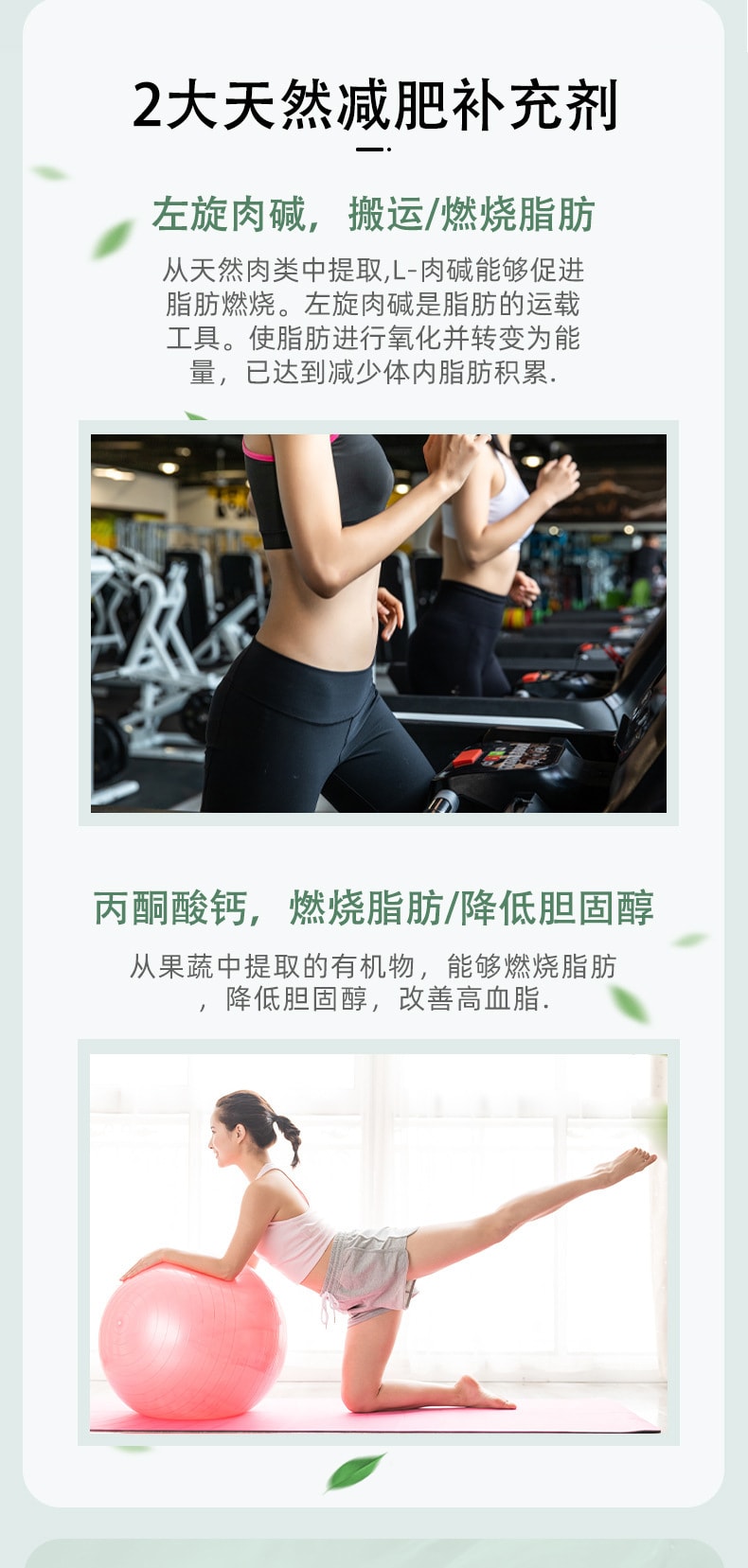 【中国直邮】  仁和 本草左旋肉碱减肥胶囊 60粒