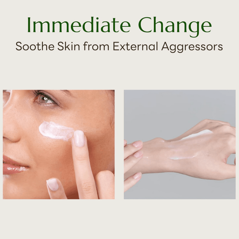 韩国 MOLVANY 洋蓟舒缓修护面霜 – 三合一舒缓、去角质、强韧肌肤的保湿面霜 (100ml)