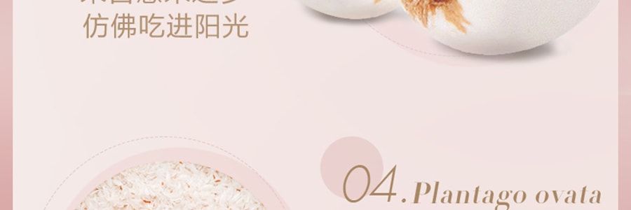 五穀磨坊 紅豆薏米粉 600g 營養早餐 (新配方新包裝)