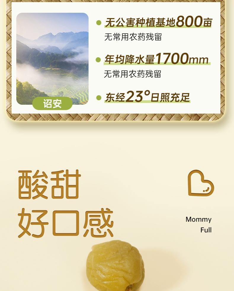 【中國直郵】 孕小飽 原味青梅 孕婦點心緩解孕吐神器酸梅子孕期營養酸味果脯休閒小吃 145g/盒