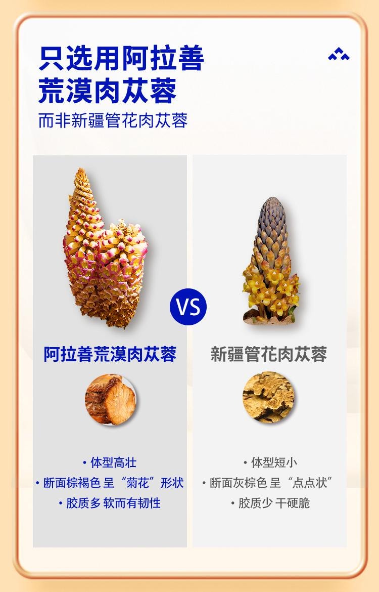 【限時特惠 能量補給站】BLISSWATER享久生力肉蓯蓉沙漠固體飲料人參瑪卡男性非補品調理保健 1盒