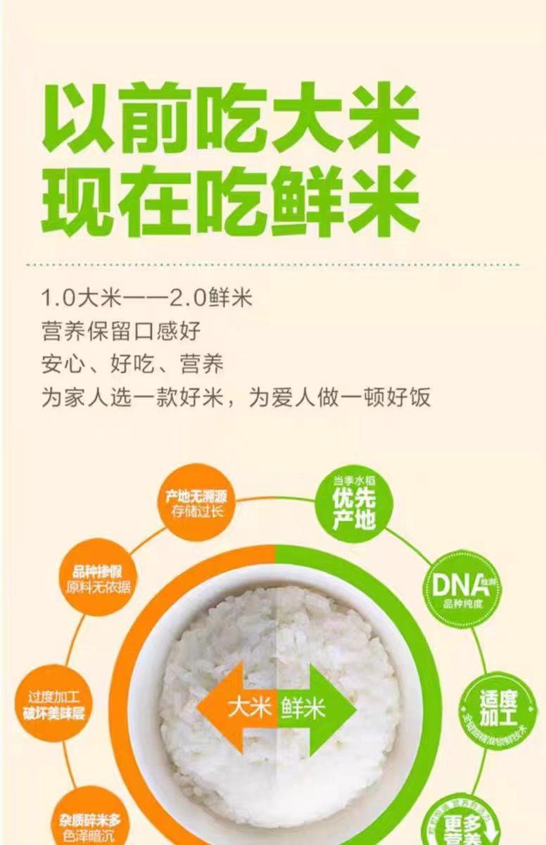 【中国直邮】 金龙鱼 稻谷鲜生大米500g*1袋