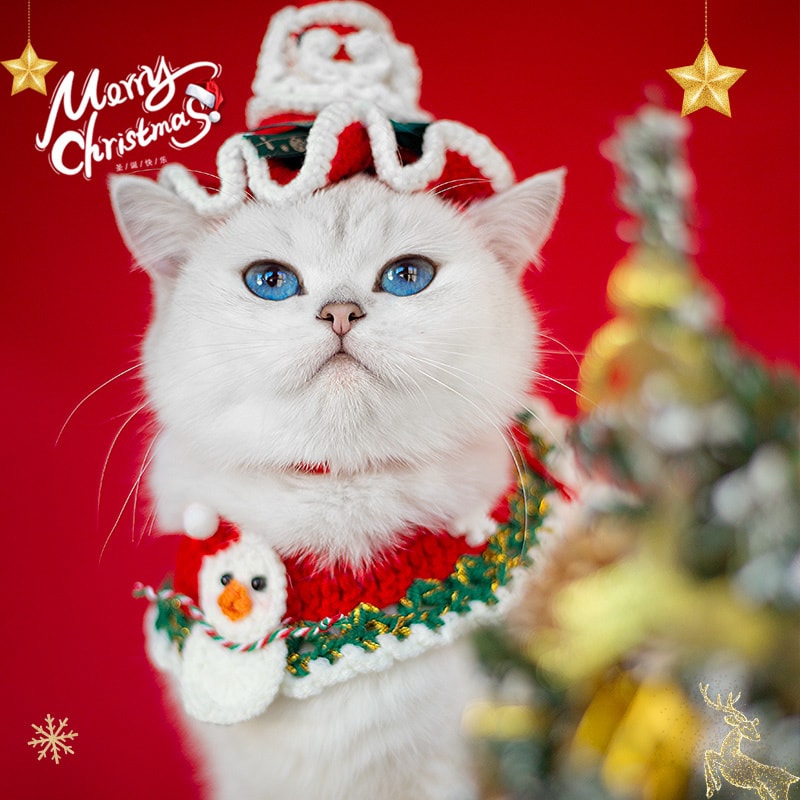 【中国直邮】 FOXTAIL 圣诞节宠物饰品 围脖挂饰/猫咪狗毛线装饰/围巾项圈/手工编织-B01麋鹿 1个*|预计到达时间3-4周