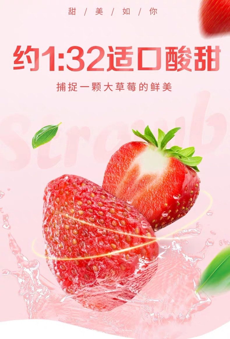 [中國直郵]百草口味 BE&CHEERY 草莓乾 100g*1包
