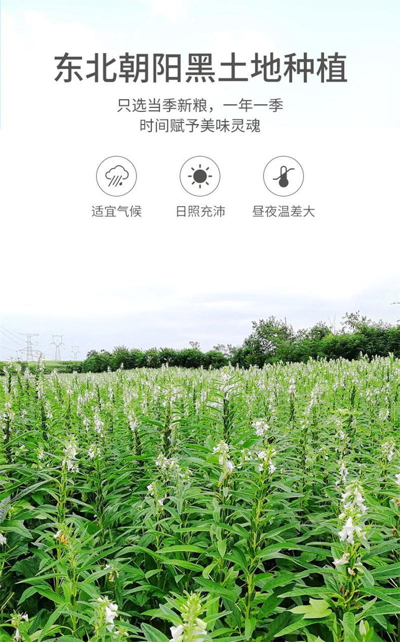 【中國直郵】 方家鋪子 熟黑芝麻低溫炒製烘 即食代餐免洗乾吃五穀雜糧 300g