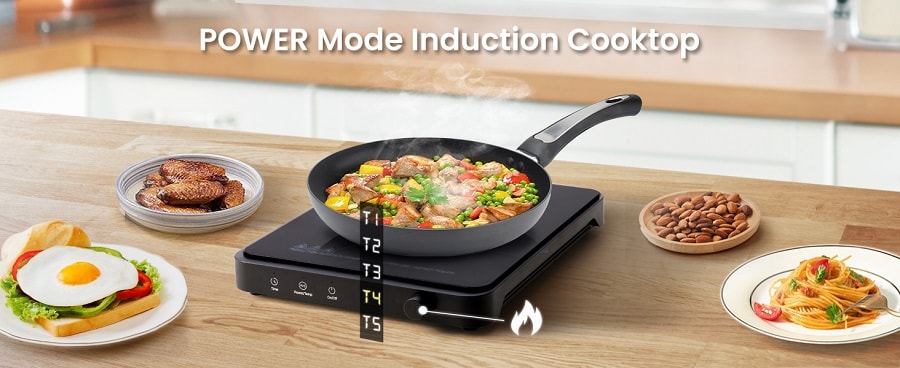 OLAYKS  黑色 多功能电磁炉 电压110V-120V通用