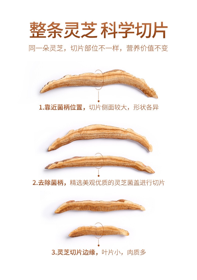 【中国直邮】杞里香 灵芝片80g/罐吉林长白山整支灵芝切片