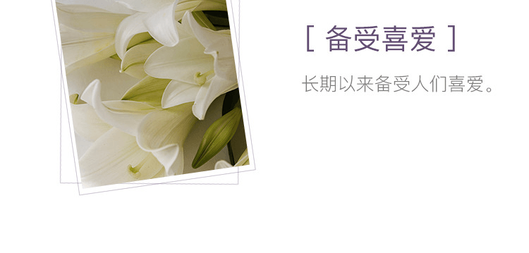 日本香堂||特制花之花线香||百合香 150支装