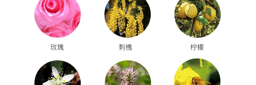 【24小時內出貨】日本POPO LABO 蜂蜜啫咖哩 保濕滋潤面膜 120g