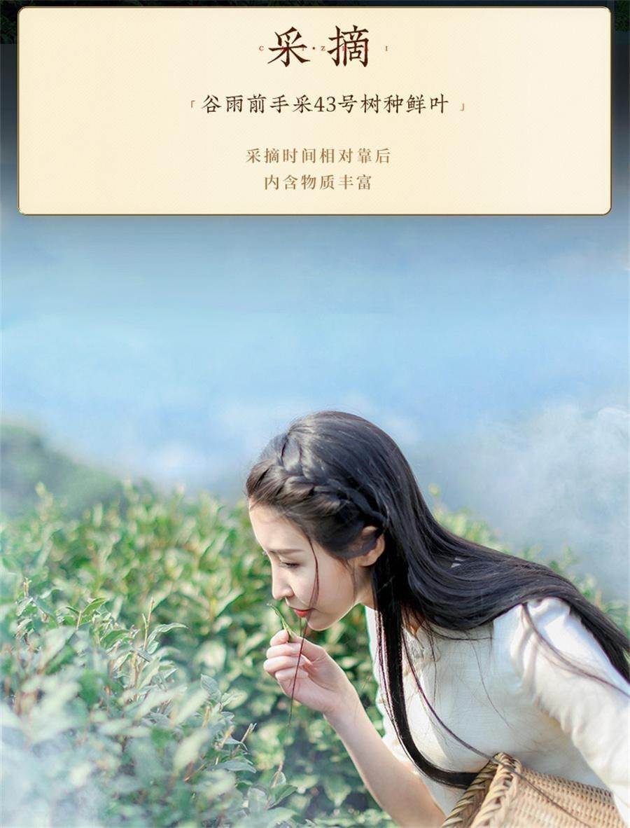 【中國直郵】 西湖牌 2026新茶上市 雨前濃香龍井茶 茶葉正宗 散裝綠茶春茶 250g/包