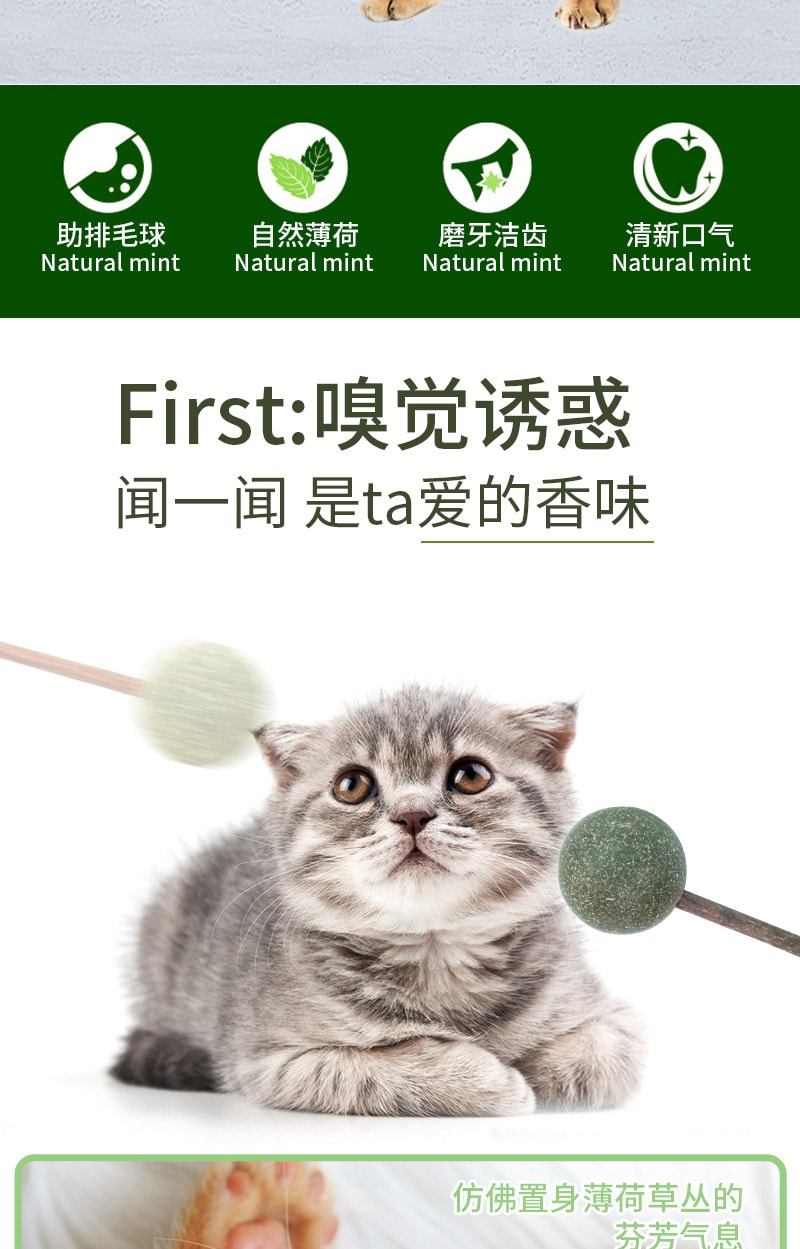 【中國直郵】尾大的喵 貓薄荷球 磨牙潔齒寵物玩具 貓薄荷棒棒糖 2個裝