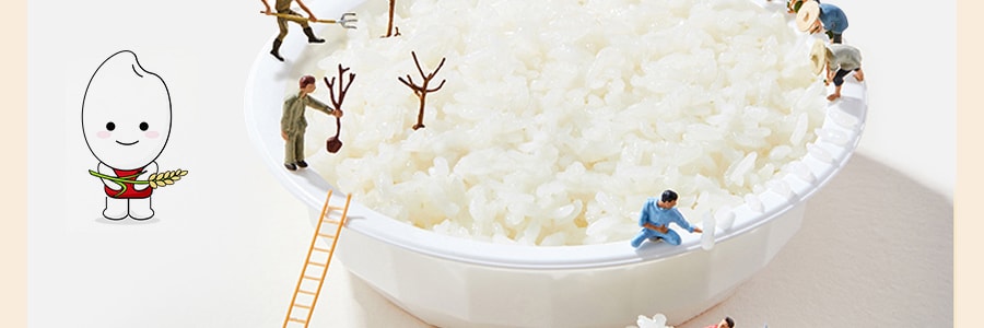 韩国CJ希杰 香醇奶油咖喱饭 微波加热即食米饭 280g