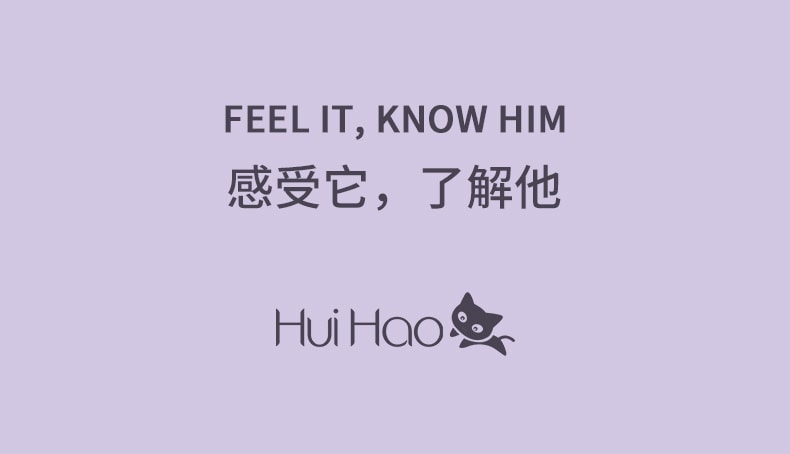 中国 HuiHao 汇豪液晶显示负离子直发器无线直发梳 白色 1件