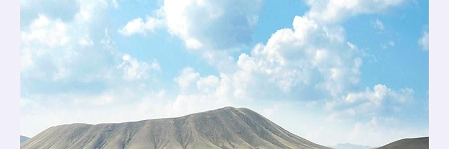 时朴 有机黄花菜 100g【山西大同干蔬菜】【胖东来同款】【可煮火锅炒菜】