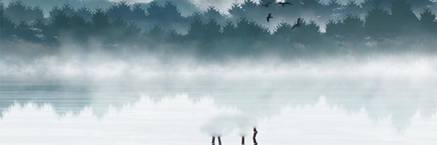 时朴 有机黄花菜 100g【山西大同干蔬菜】【胖东来同款】【可煮火锅炒菜】