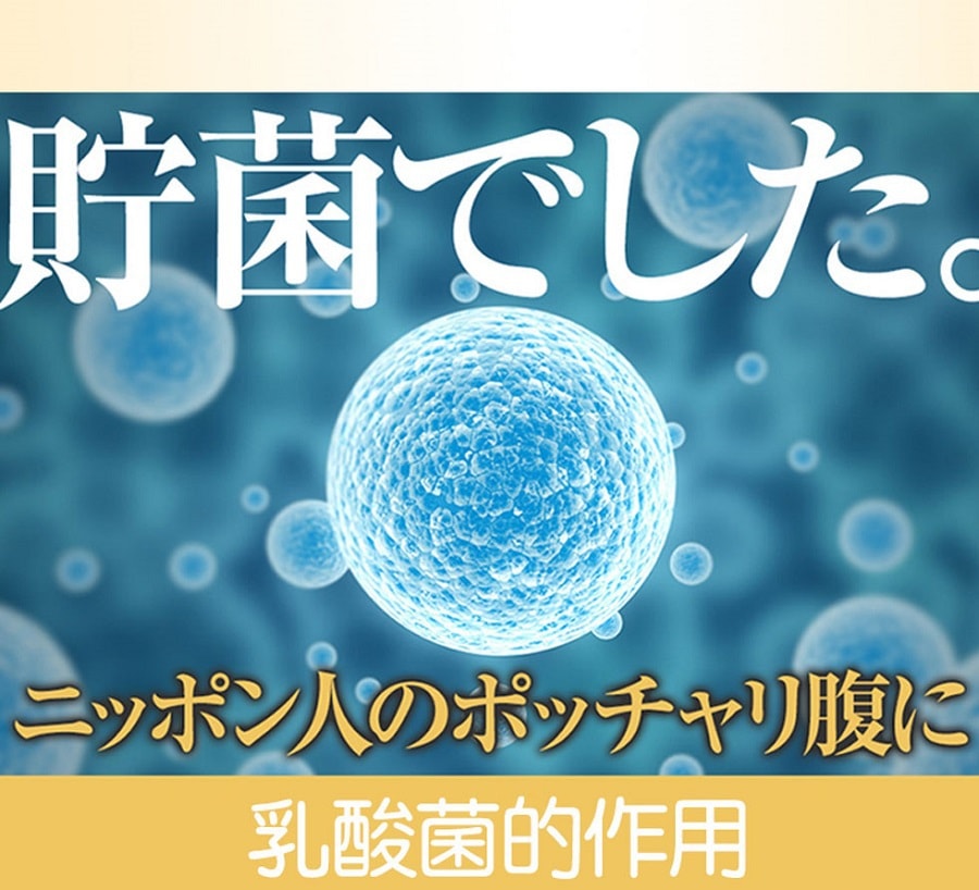日本SVELTY SMART 乳酸菌納豆菌穀物酵素 200g