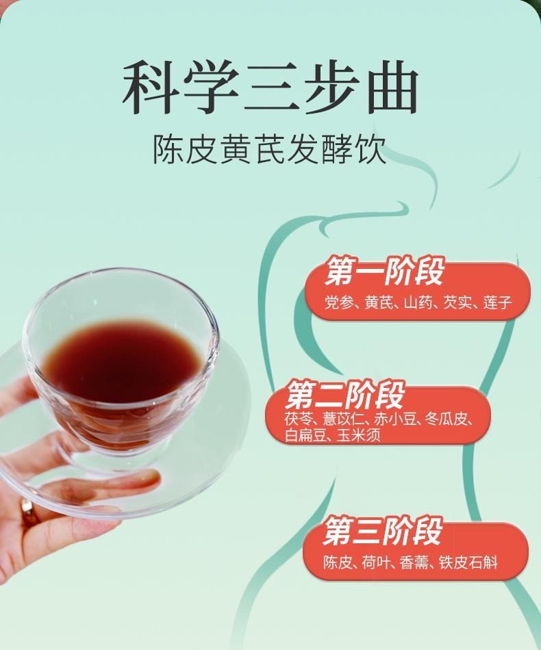 远方好物 【 伏气元酿 陈皮黄芪发酵饮30mlX10袋/盒】巨祛湿 健脾强  理气补气