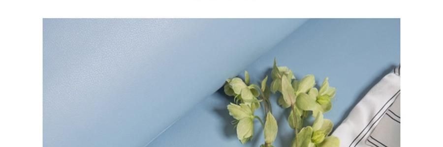 THE BEAST野兽派  小王子马克杯 星球对杯套装 情侣水杯骨瓷杯子礼物 2只装