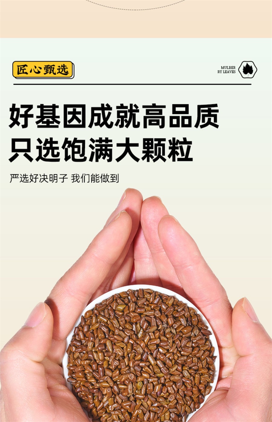 【中國直郵】岷農人 決明子茶250g正品炒熟決明子茶散裝中藥材決明子