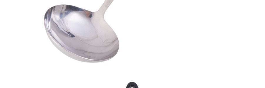 日本PEARL LIFE 不鏽鋼長柄湯匙 一件入