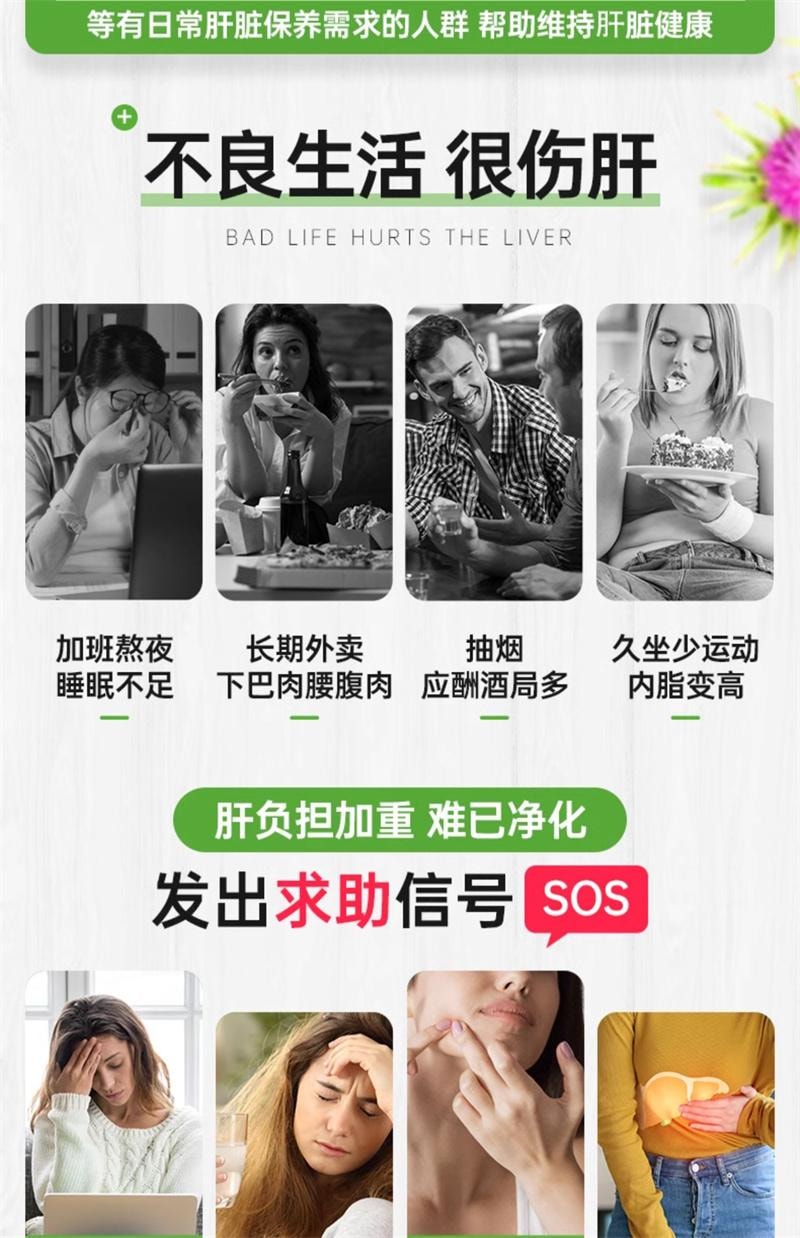 【澳洲直邮】加拿大 Dr NUTRITION 澳洲进口N29护肝片奶蓟草纽西臣水飞蓟胶囊正品熬夜保健品  200粒/瓶