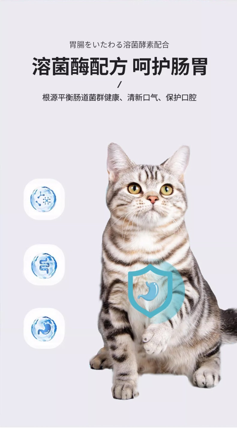 日本 HiiiGet- KOJIMA宠医百年品牌 猫咪牙刷牙膏套装 宠物专用除口臭 可食用 预防清洁牙结石