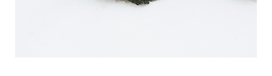 泰國小頭目 超大片脆皮海苔 原味 12pc 38g