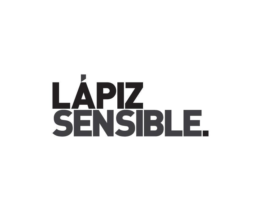LAPIZ SENSIBLE 太阳镜 / AS012 / 玳瑁色 + 褐色 镜像透镜
