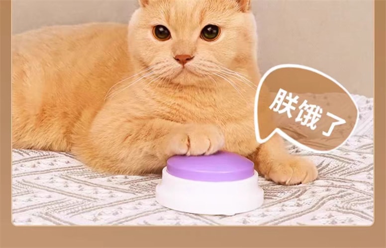 【中国直邮】FOXTAIL 宠物交流按钮 按键发声训练器 吃饭+出去玩两件套 丨*预计到达时间3-4周