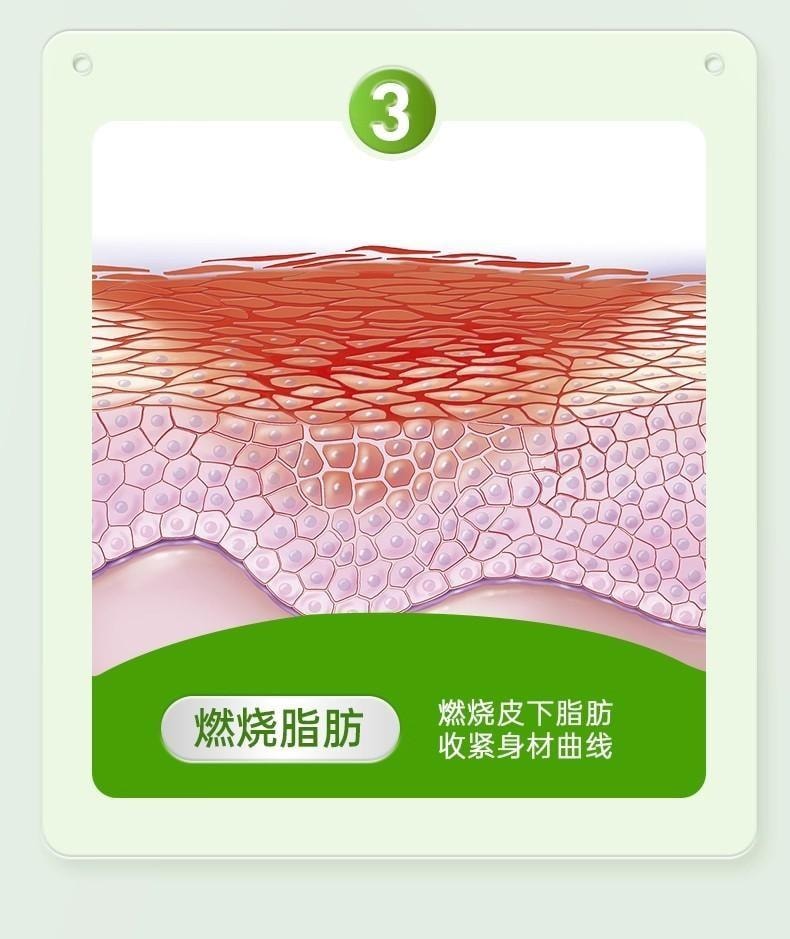 【中國直郵】 嘉臣健 扶芳茶 減肥茶刮油茶 去濕氣排油全身瘦肚子 減脂 瘦身 燃脂 排油 10袋/盒