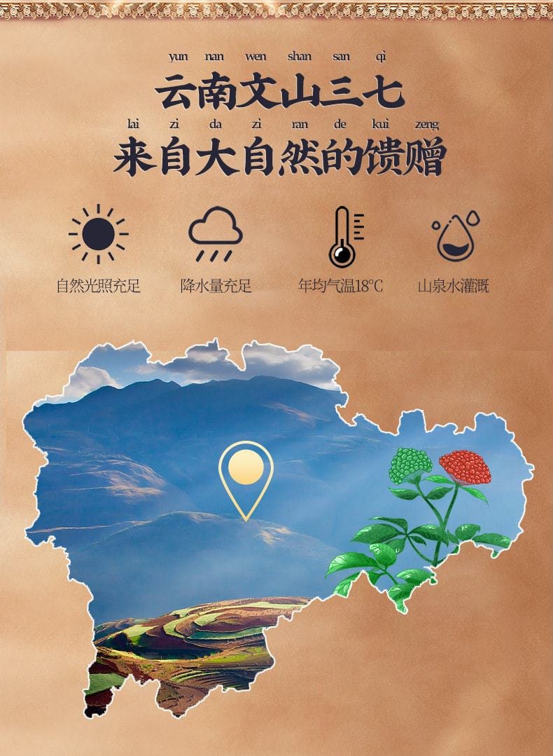 【中国直邮】 南京同仁堂 正宗超细 三七粉 有效调理降血糖 活血化瘀 通络 255g/罐