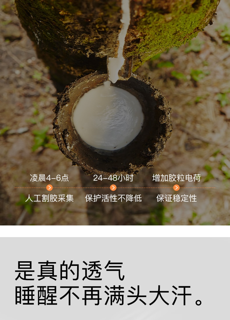 中国拉芙菲尔泰国进口天然乳胶枕头牵引护颈深睡眠枕芯助眠颈椎枕