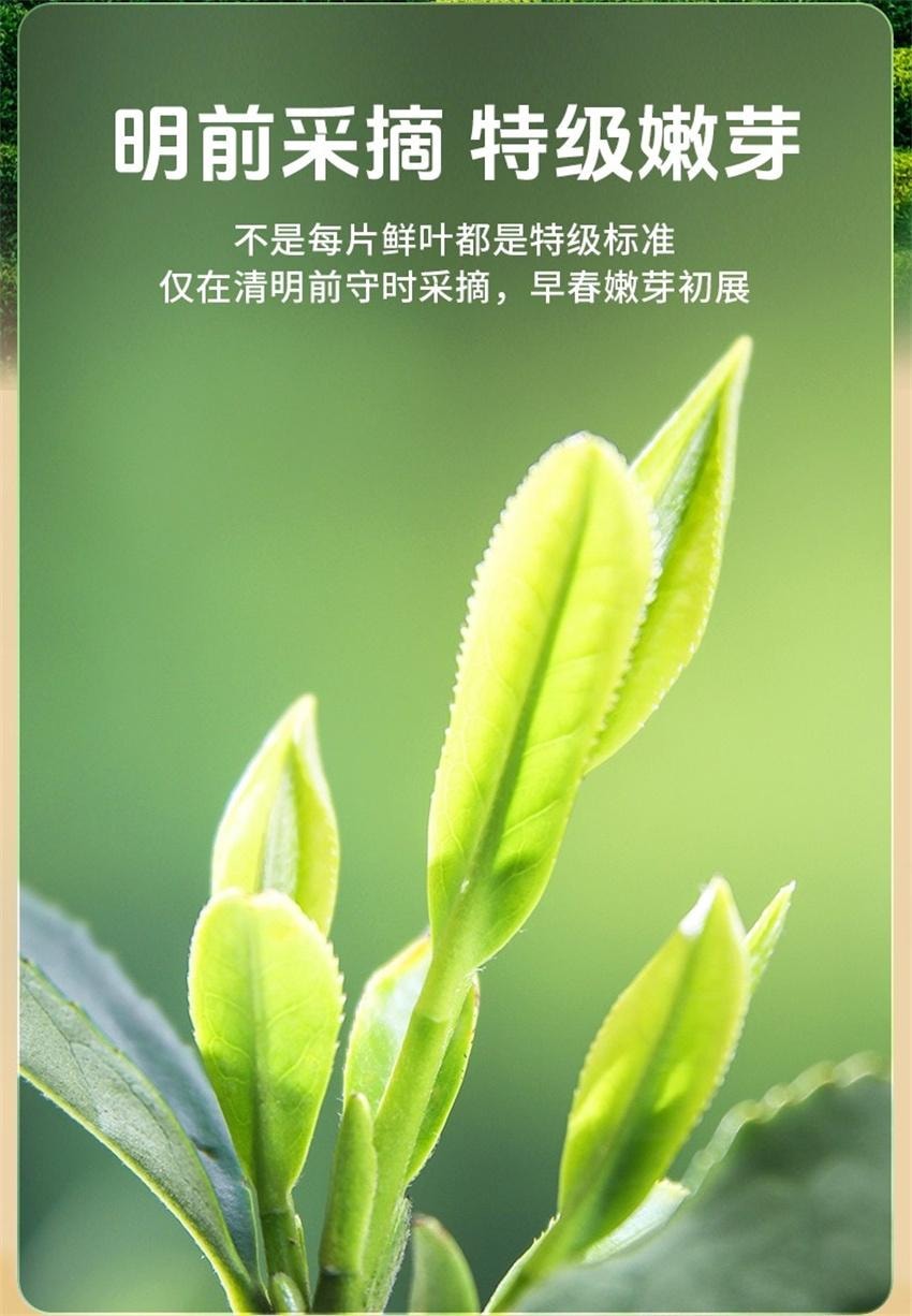 【中国直邮】 狮峰茶叶 2026新茶特级 明前龙井茶叶 礼盒装送礼长辈送西湖龙井春绿茶 150g/礼盒装