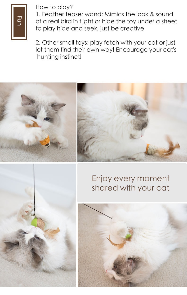 Premium Everyday Cat Toys Ball with Feather