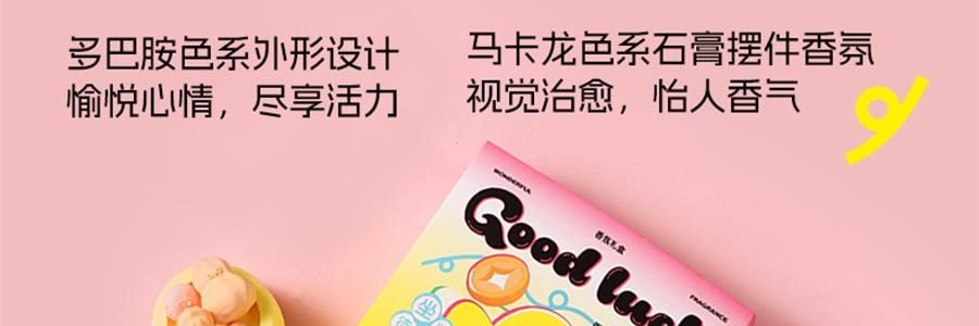 BIRDTALK布爾桃 借吉言禮盒香薰香氛系列 聚寶盆擺飾 旺財【坐以待幣】