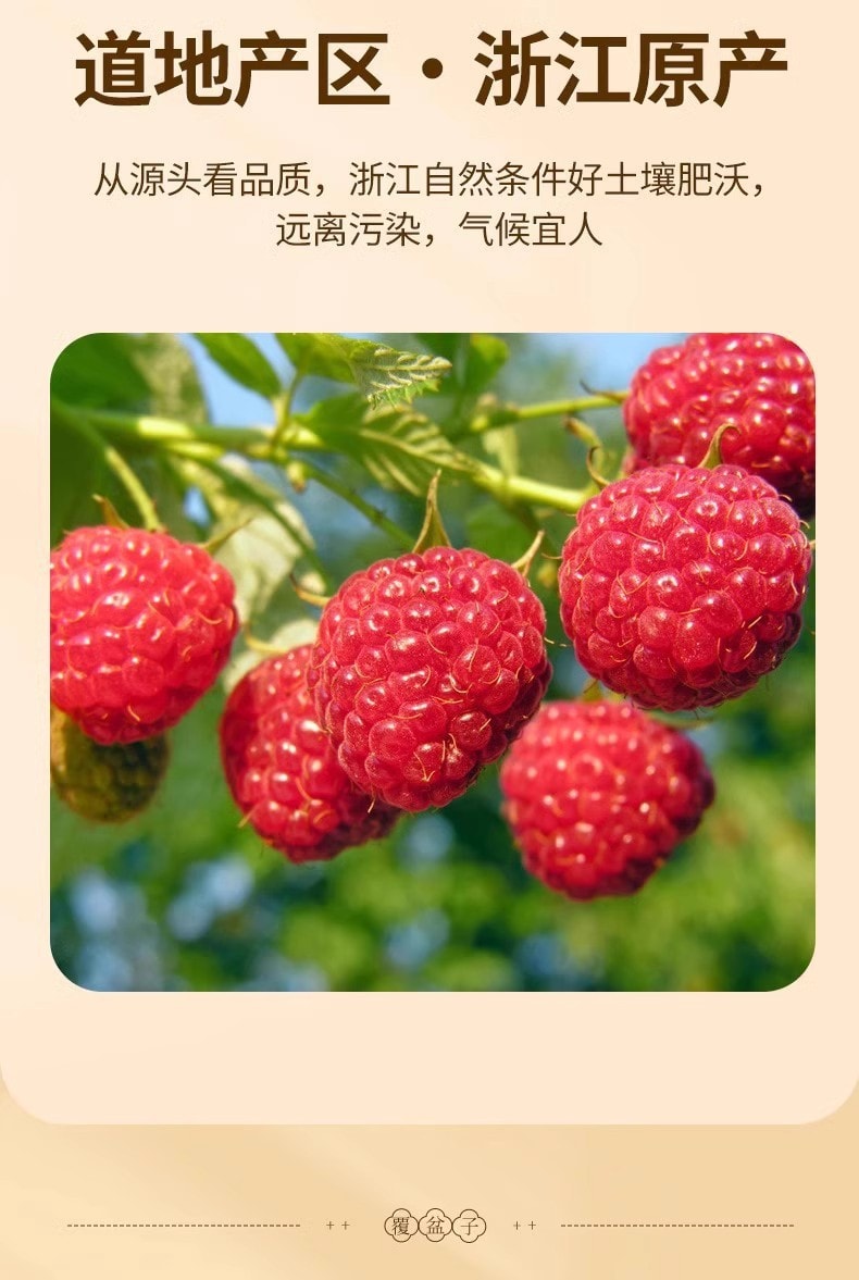【中国直邮】北京同仁堂  覆盆子罐装树莓干果泡酒饱满覆盆莓正宗大颗粒复盆子肝肾、涩精、明目   150g/罐